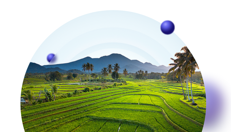 online-insurance-of-tourists