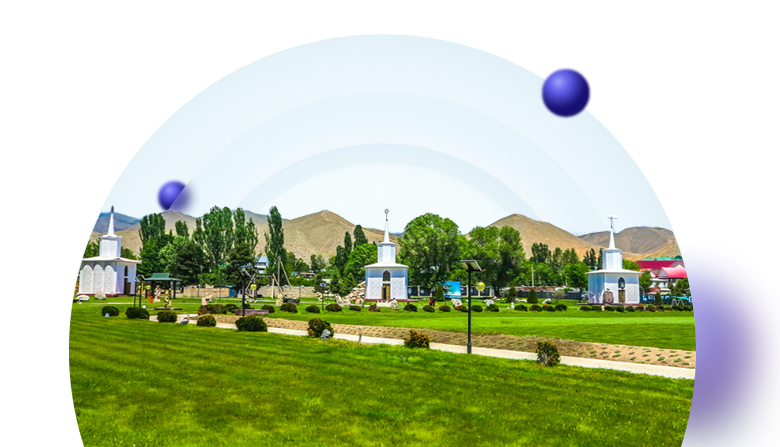 online-insurance-of-tourists