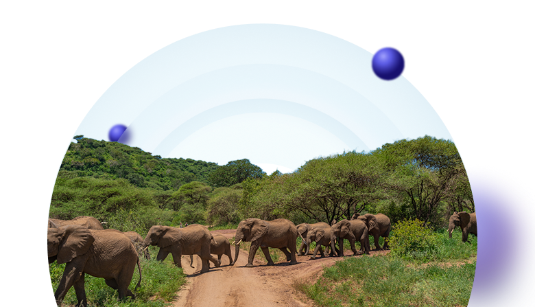 online-insurance-of-tourists